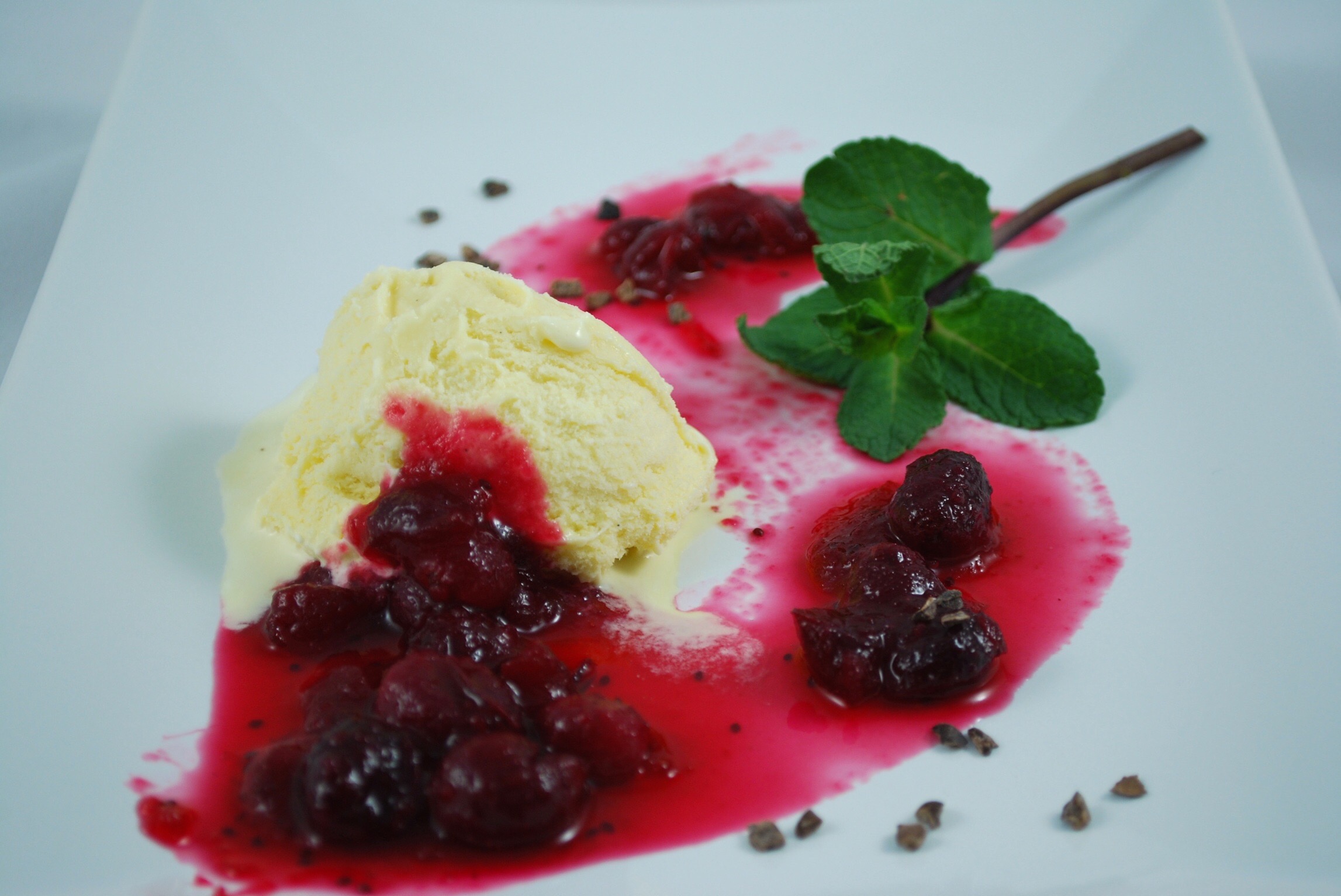 Vanille Eis mit warmen Cranberries – Querköchin